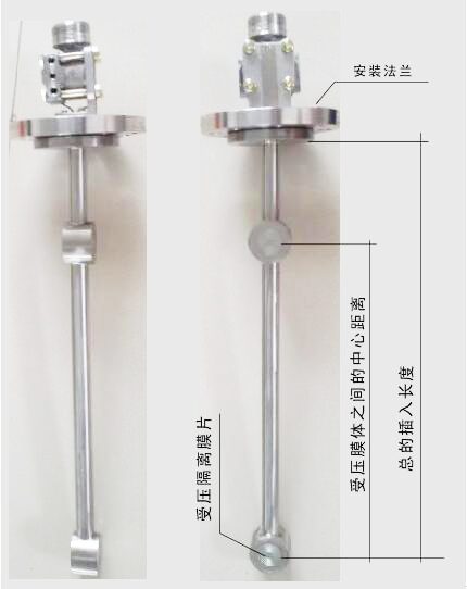 頂裝型差壓式密度計(jì)圖示
